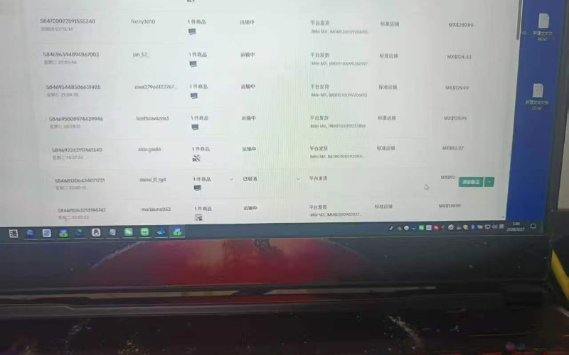 墨西哥商品订单保单截图1